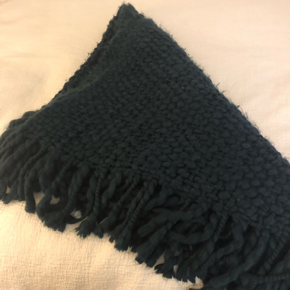 West Elm Solid Basketweave Throw Pillow
